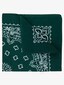 green_57869