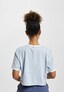 blue_13592