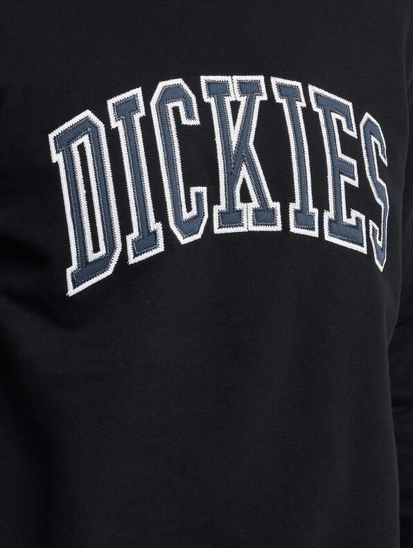 Dickies Aitkin Sweatshirt-3