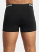 Organic 3-Pack-5