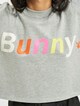 Bunny -4