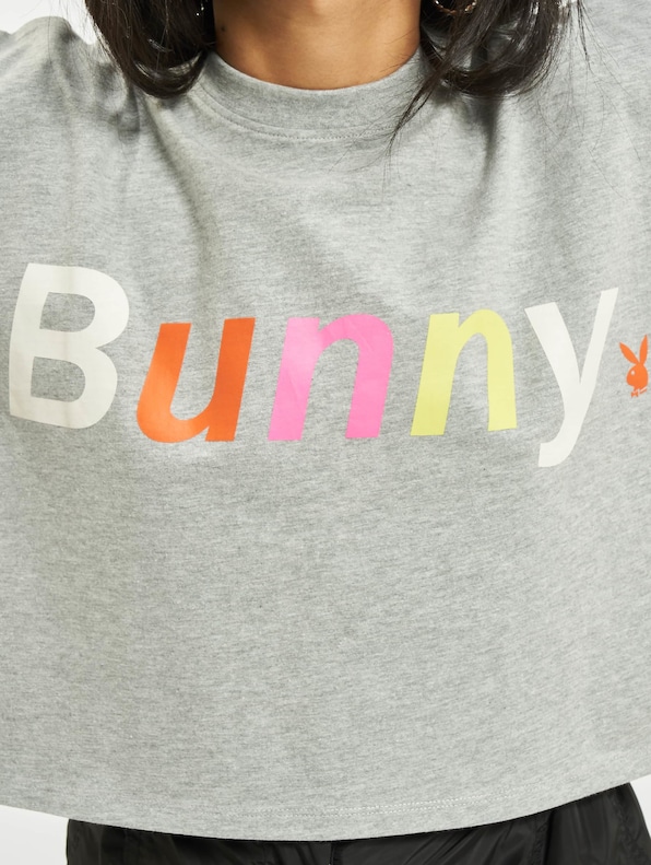 Bunny -4