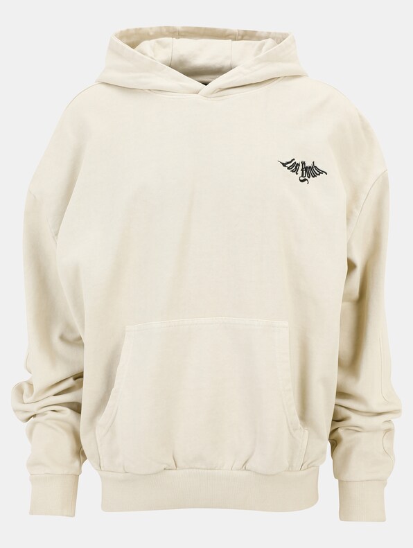 Lost Youth Heavy Terry ''Classic'' Hoodies-3