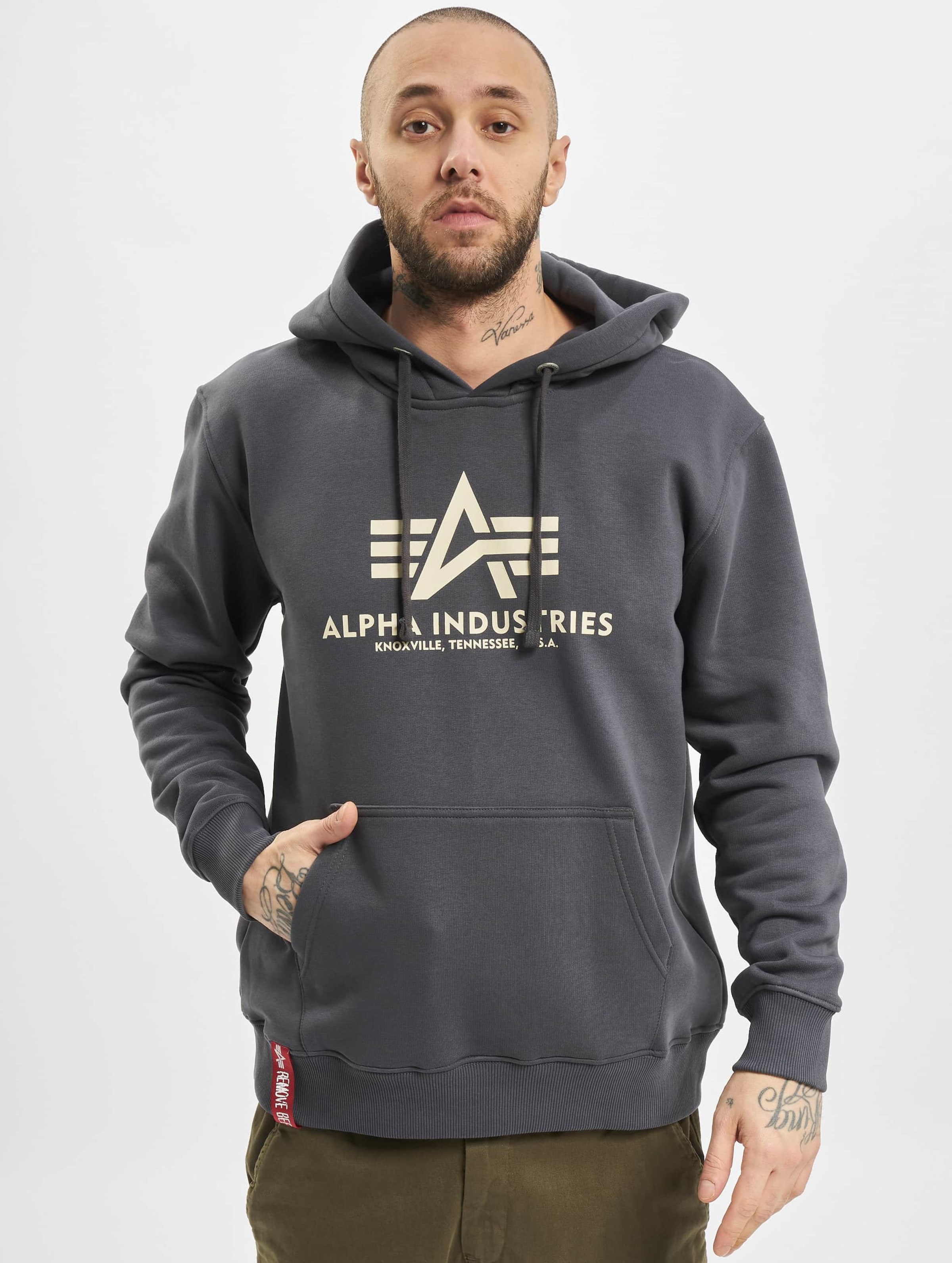 Alpha Industries Basic Hoodies DEFSHOP 84805