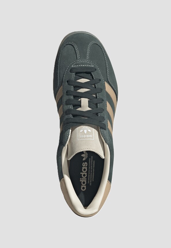  Gazelle Indoor-5