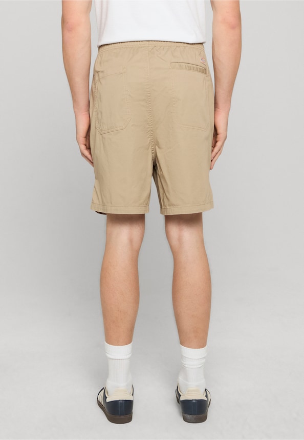 Dickies Pelican Rapids Shorts-1