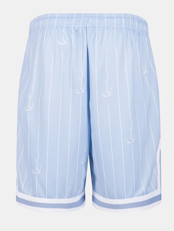 Small Varsity Logo Pinstripe Mesh-5