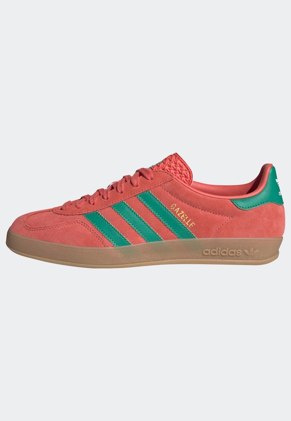 Gazelle Indoor-2