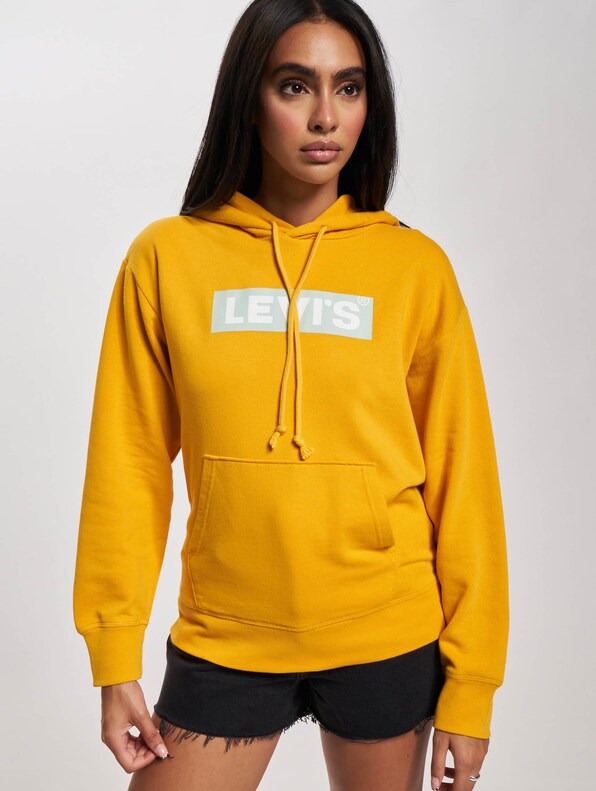Levis Graphic Standard Hoodie-0