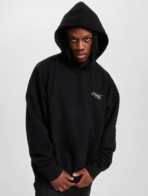 PEGADOR Tavery Oversized Hoody-2