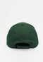 green_56310