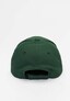 green_56310