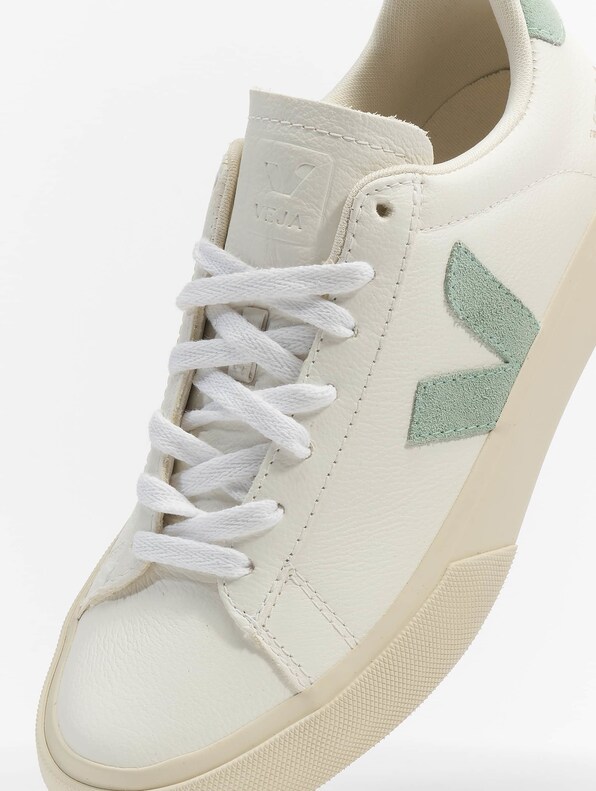 Campo Chromefree -7