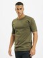 olive_38193