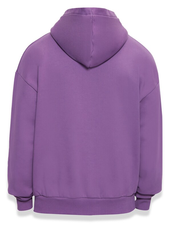 Bazix Republiq Super Heavy Blank Hoodies-4