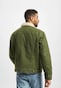 green_51376