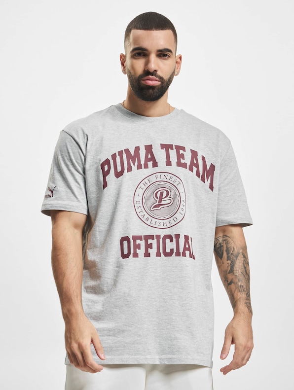 Puma Team Graphic T-Shirt Light Gray-2
