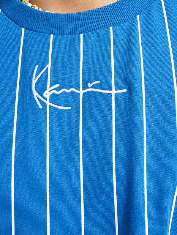 Small Signature Boxy Heavy Jersey Pinstripe -3