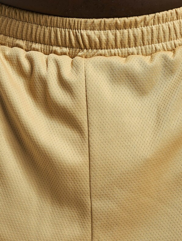 Small Signature Essential Mesh-3