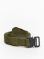 olive_37975