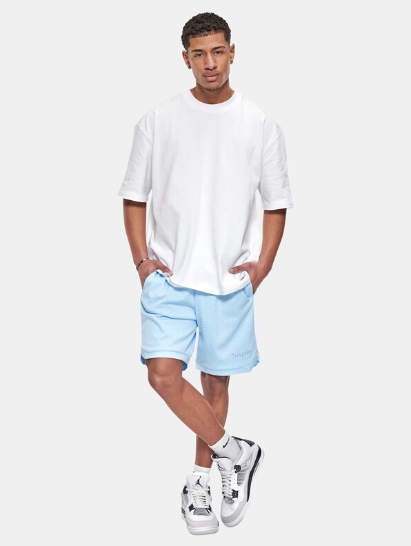 Dropsize V2 Mesh Shorts-3