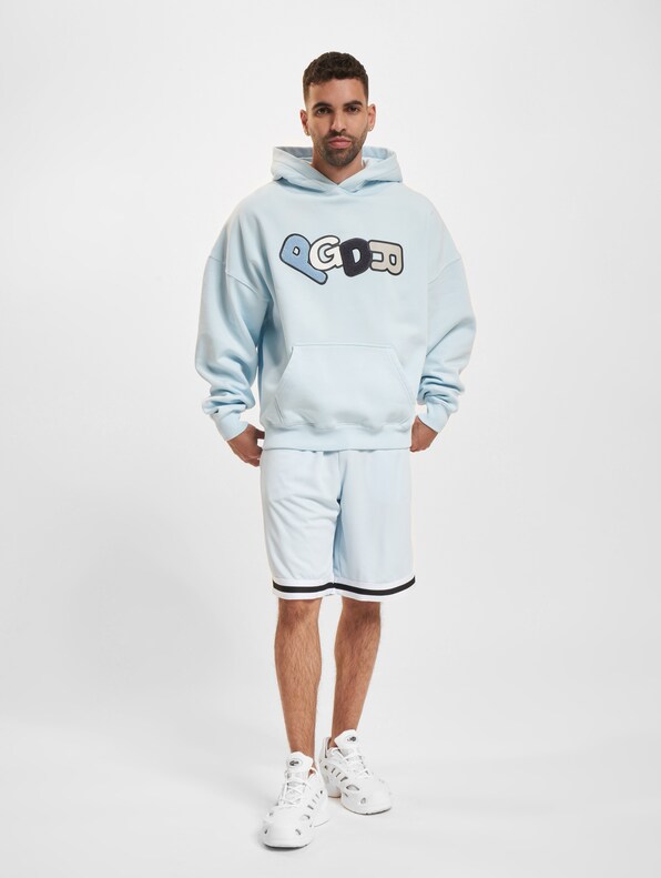 PEGADOR Banks Boxy Hoodie-5