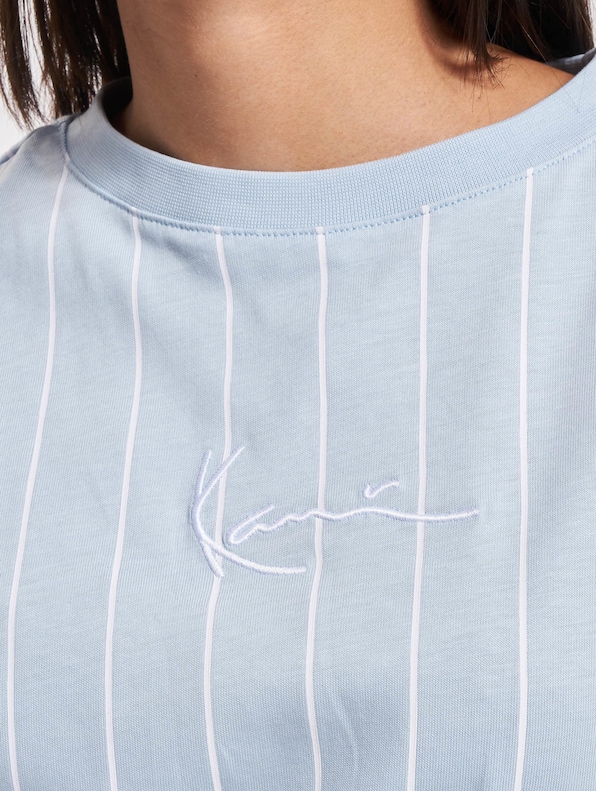 Karl Kani Small Signature Pinstripe Os T-Shirt Light-3