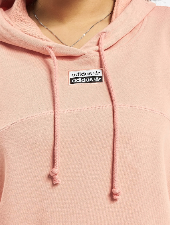Cropped -4