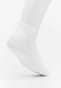 white_31719