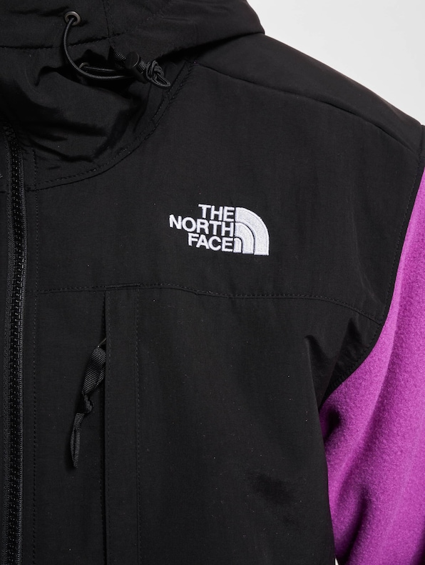 The North Face Denali Fleecepullover-4