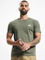 olive_97088