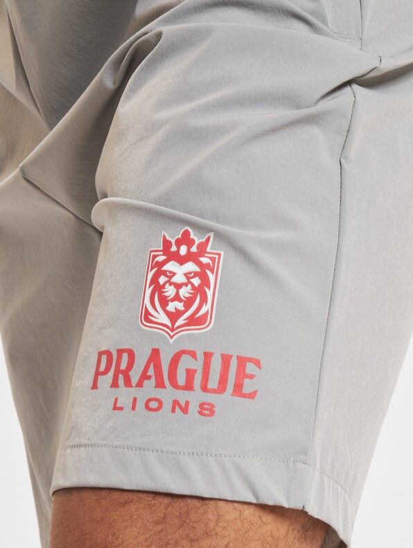 Prague Lions 2-3