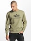 olive_72744