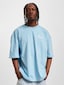 blue_89456