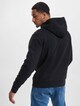 Levis T2 Std Graphic Hoodie-1