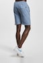 blue_12930