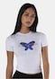 white_153365