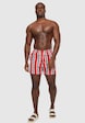 Retro Striped Swim Shorts-2