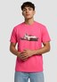 pink_101276