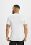 white_16505