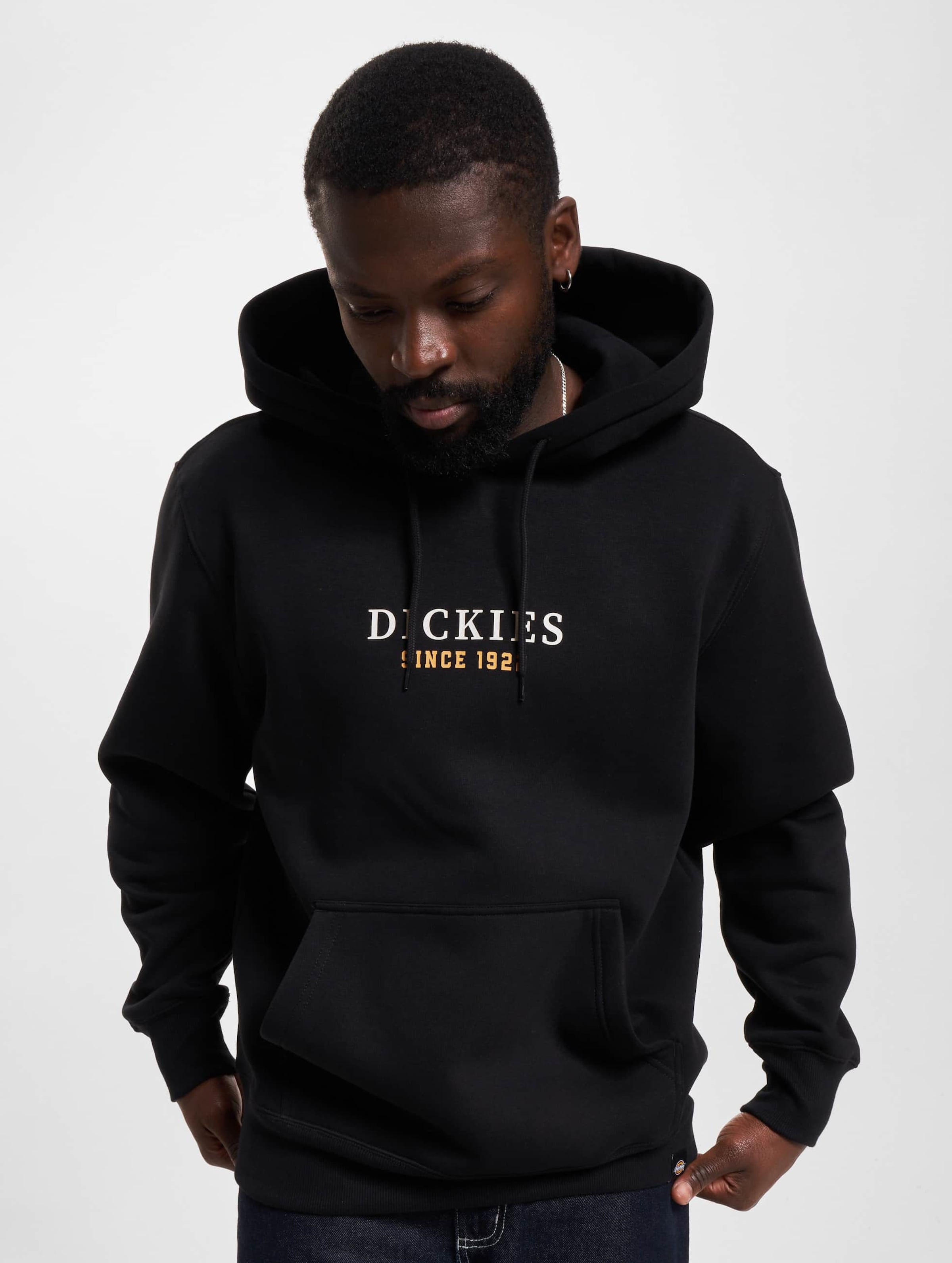 Dickies baldwin hoodie new arrivals