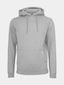 grey_19808