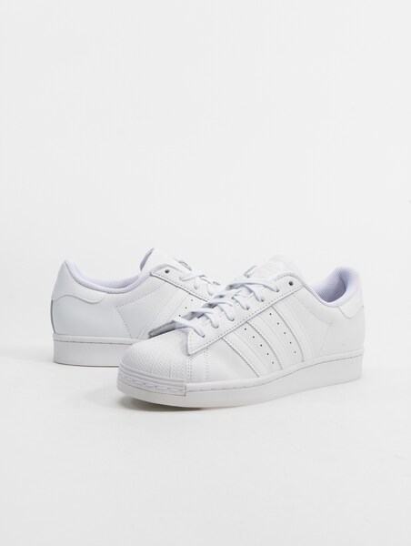 superstar all white high top