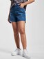 blue_40499