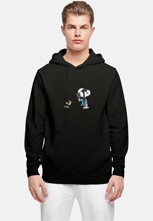 Peanuts Sunglasses V2 Basic 