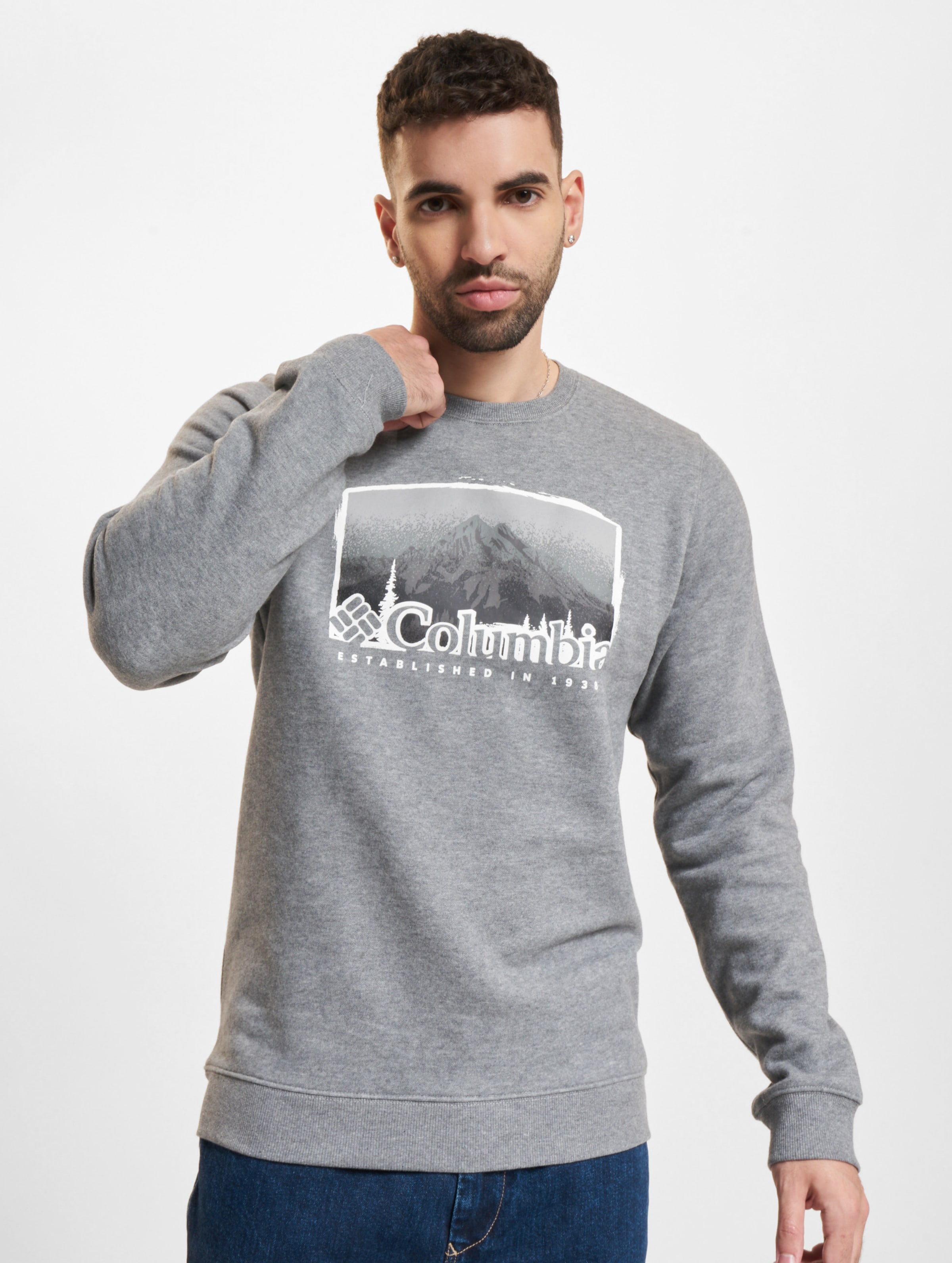 Columbia Sportswear Hart Mountain Graphic Sweater Männer,Unisex op kleur grijs, Maat S