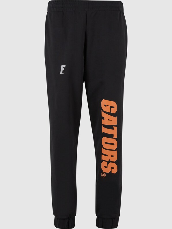 Florida Gators Multi Logo-3