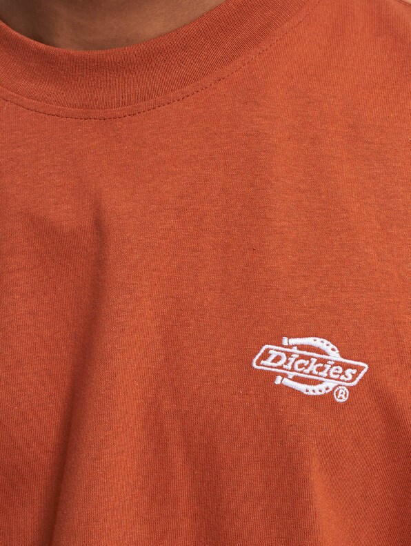 Dickies Summerdale T-Shirts-3