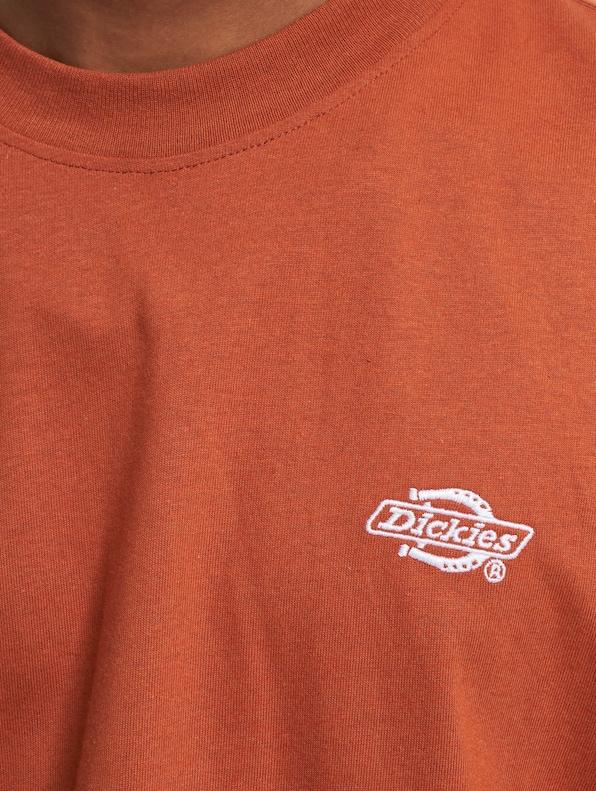 Dickies Summerdale T-Shirt-3