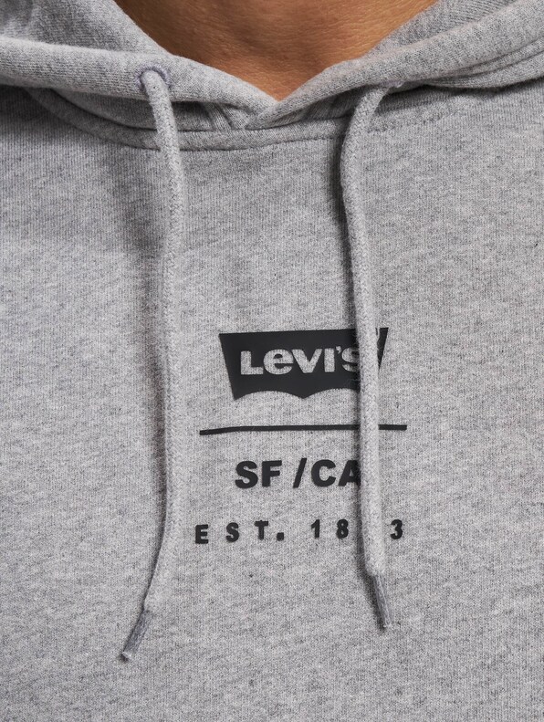Levi's® Relaxed Graphic Hoody-4